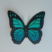 XS Butterfly - Teal