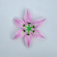 XS Lily - white/pink