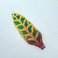 SM Croton Leaf
