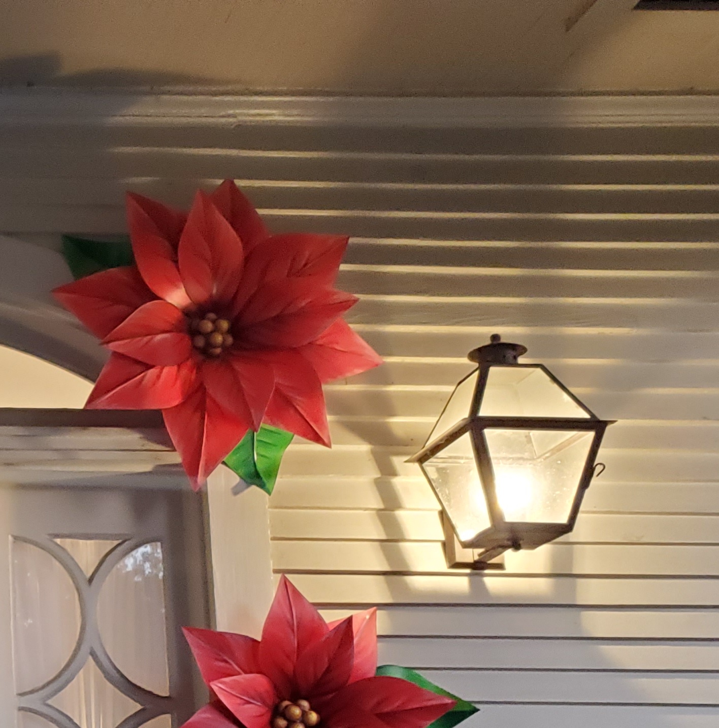 Large Poinsettia - Image 2