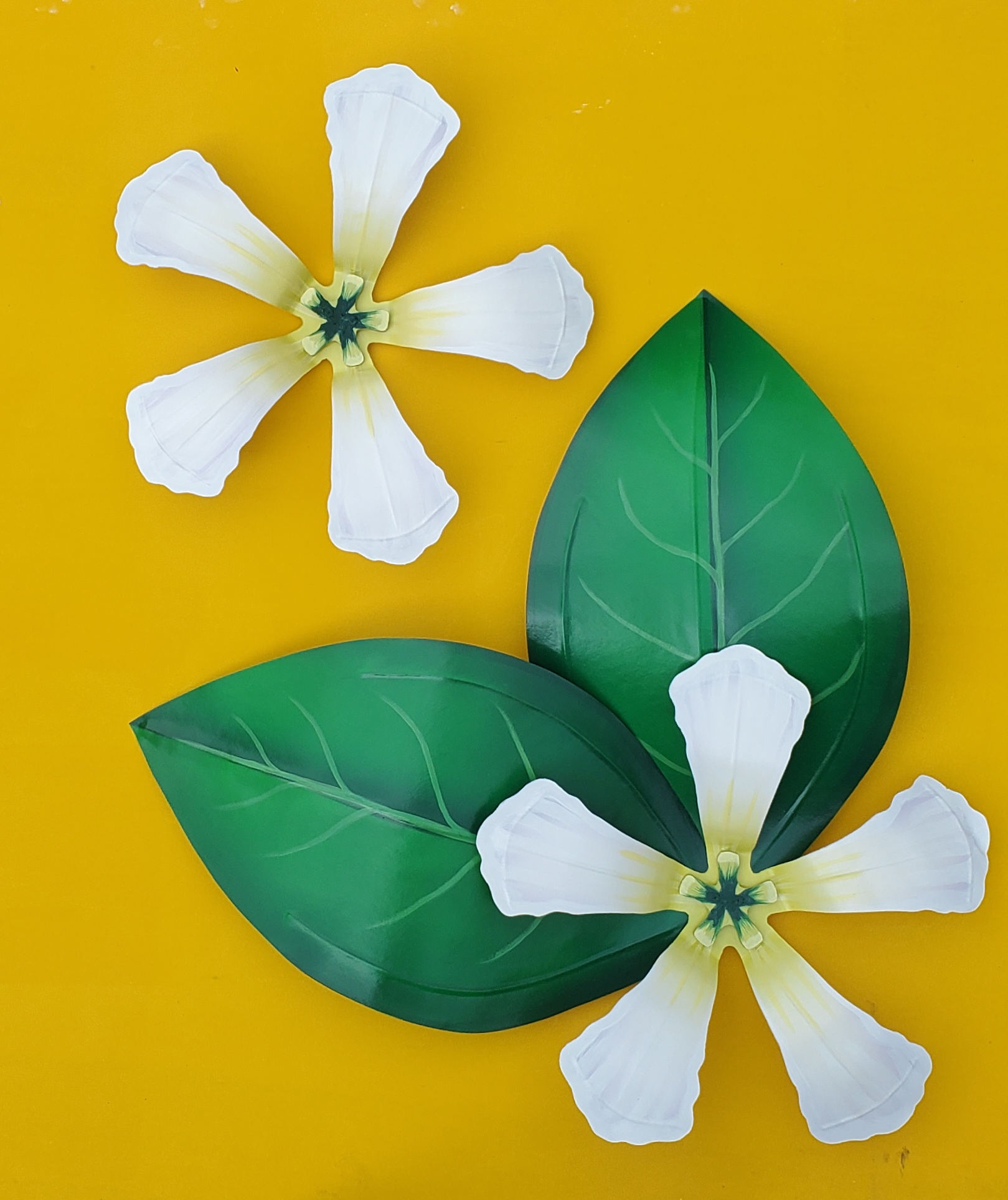 Star Jasmine Flower - Image 3