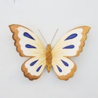 Mardi Gras Butterfly SM