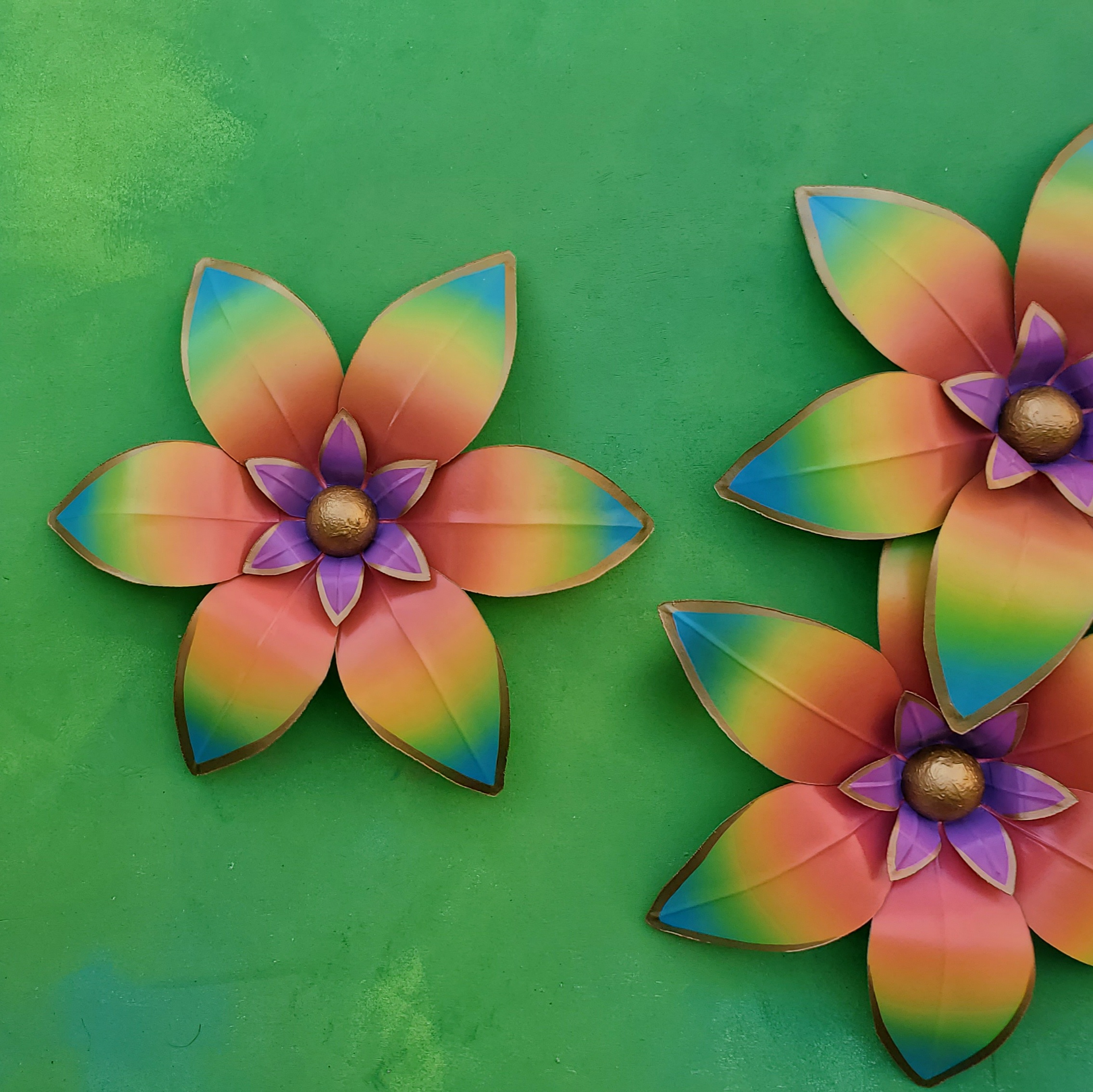 Minerva- Rainbow - Image 2