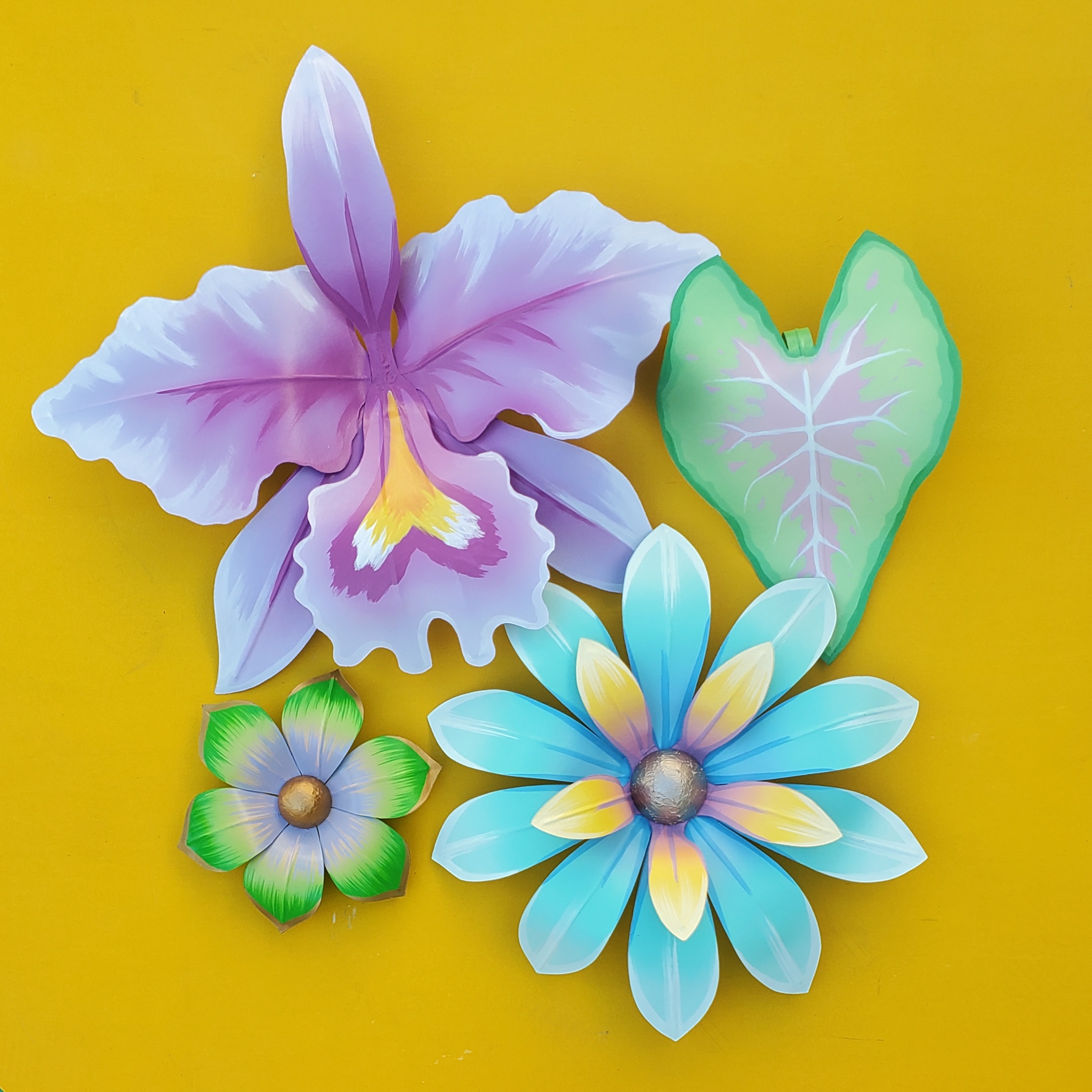 Cattleya Orchid MD - Image 2