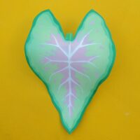 Caladium - Pastel- Small