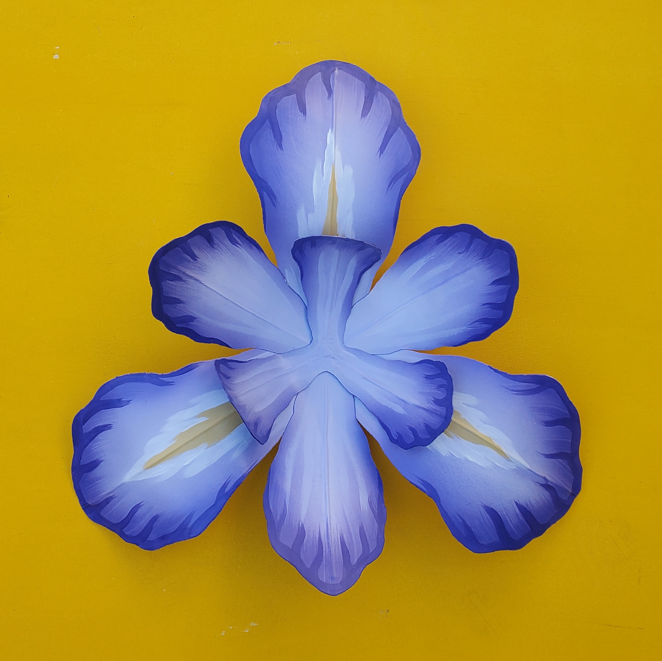 Iris - Medium Purple